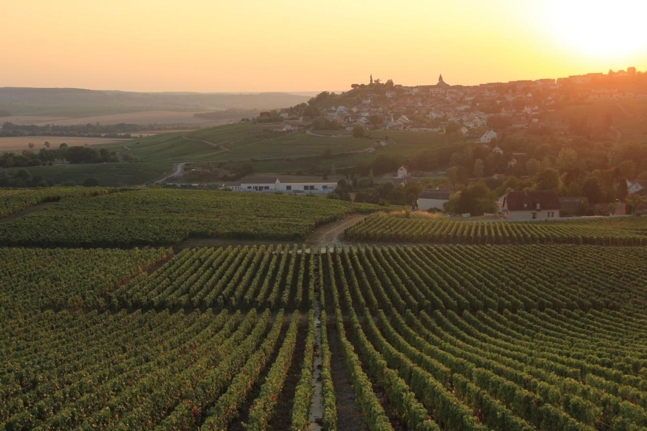 Holiday home De La Vigneronne